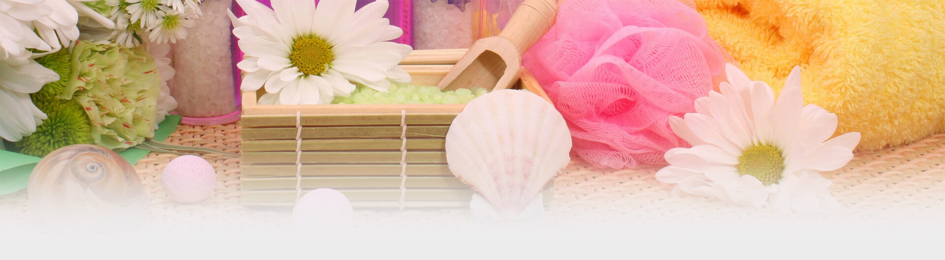 Giới thiệu 1 12334 1